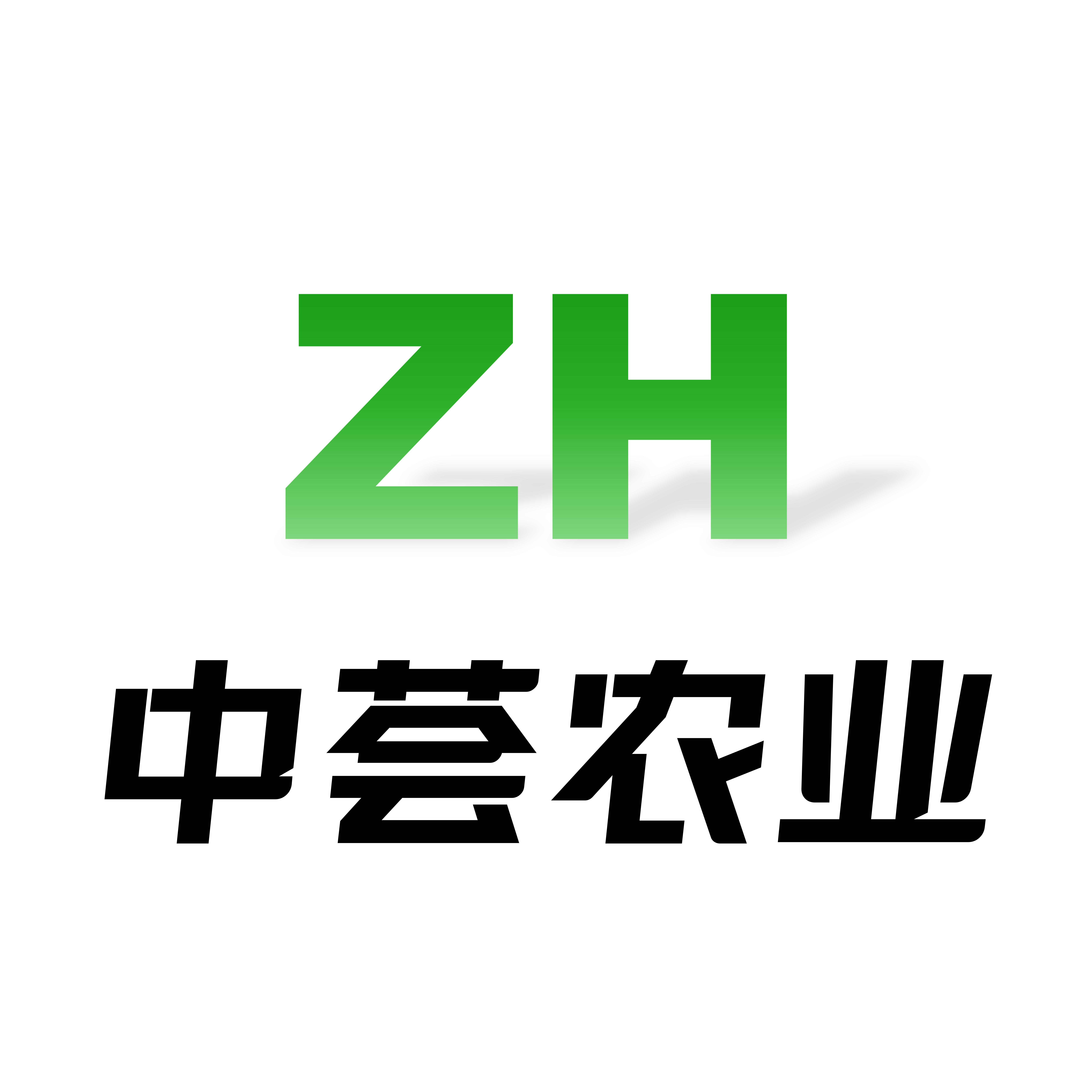 中荟